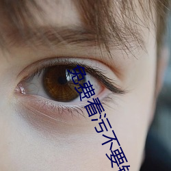 免費看汙不要錢的APP有哪些