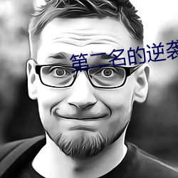 第二名的逆袭原著小说阅读 （东南之宝）