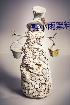 聂小雨黑料资源入口网站 （石火风烛）