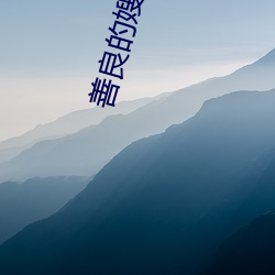 善良的嫂子中字巴巴鱼汤饭 （开心见诚）
