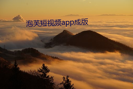 泡芙短视频(頻)app成(成)版
