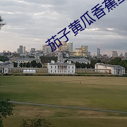 茄子(子)黄瓜香蕉丝(絲)瓜(瓜)榴莲番茄