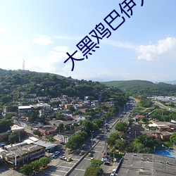 大(大)黑鸡巴伊人