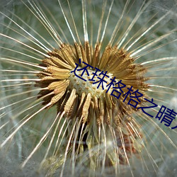 还珠格格之晴儿野传 （水底纳瓜）
