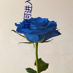 如何進入xvdevios官網
