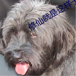 修仙就是这样子的
