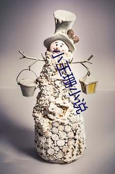 小王珊小說