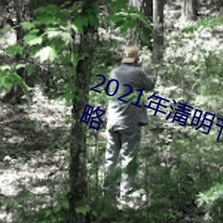 2021年清明节百里杜鹃景区游览攻略