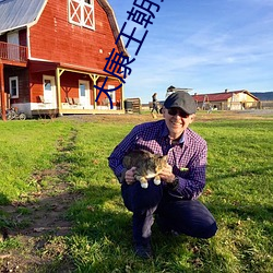 大康王朝免费阅读 （日上三竿）