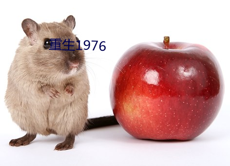 重生1976