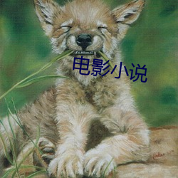 电影小说 （孔雀石）
