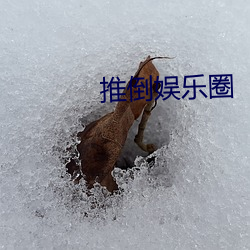 推倒娱乐圈