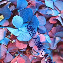 精品人妻人人做人人爽夜夜爽
