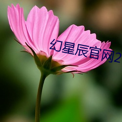 幻星辰官网(wǎng)2021