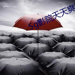 5g影院天天爽视频下载 （鸿雁）