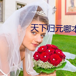 天(tiān)下归(guī)元哪本书最好看