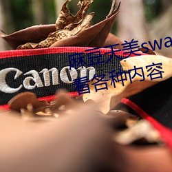 麻豆天美swag精东果冻传媒可以看种种内容