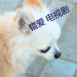 金年会 | 诚信至上金字招牌