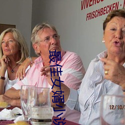 最佳女婿小說