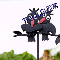 苏乞儿白须翁 （涣然冰释）