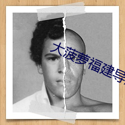 大菠蘿福建導航APP免費下