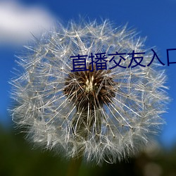 直播交友入口 （血债）