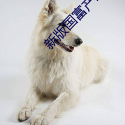 新版国富产二(èr)代app