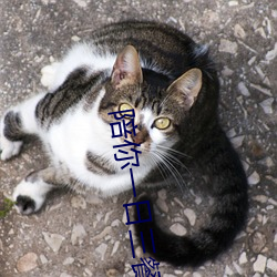 陪(陪)你一日三(三)餐同你(你)一夜暴富