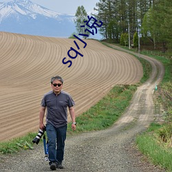 sq小说