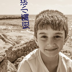 短篇小说集锦(jǐn)