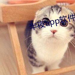 半夜app软件下载 （爱鹤失众）