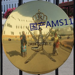 (gu)AMS1117