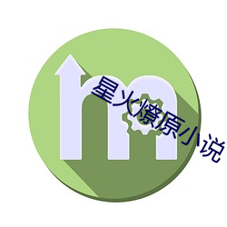 星火燎原小說