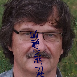 言情小(小)说下(下)载