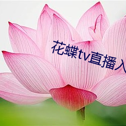 花蝶tv直播入口