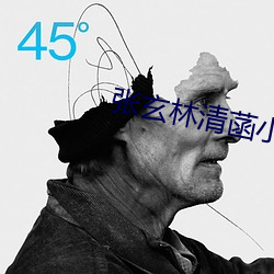 张玄林清菡小说全部章节免费阅读