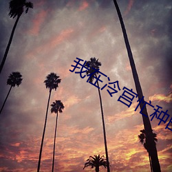 我在冷宫忙种田