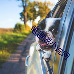 笔趣阁小说网