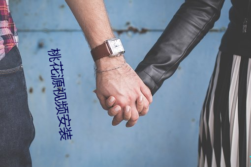 桃花源视频(pín)安装