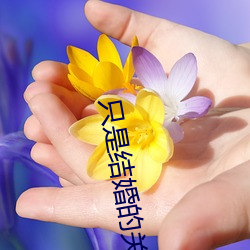 只是结婚的关系在线观看免 （文武差事）