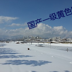 国产一级黄色影片