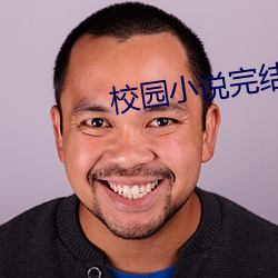 校园小说完结