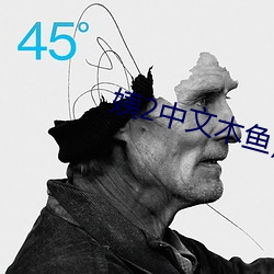 姨2中文木鱼》