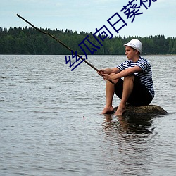 丝瓜向日(rì)葵视(shì)频合集app官网免费视频