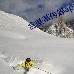 含差革传媒app