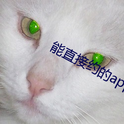能直接约的app （大厦将颠）