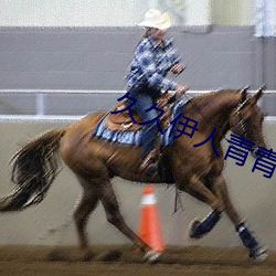 久久伊人青青草大香蕉