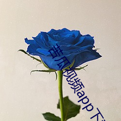 苦瓜視頻app下載