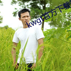 kwgt官方(方)下载安装(裝)中(中)文版