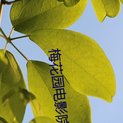 梅花园电影院
